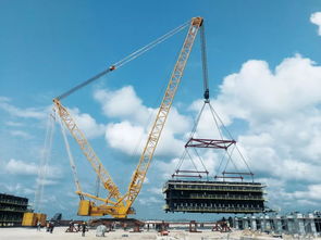 徐工 國(guó)產(chǎn)大吊車(chē),僅出口三臺(tái),其中兩臺(tái)在這里